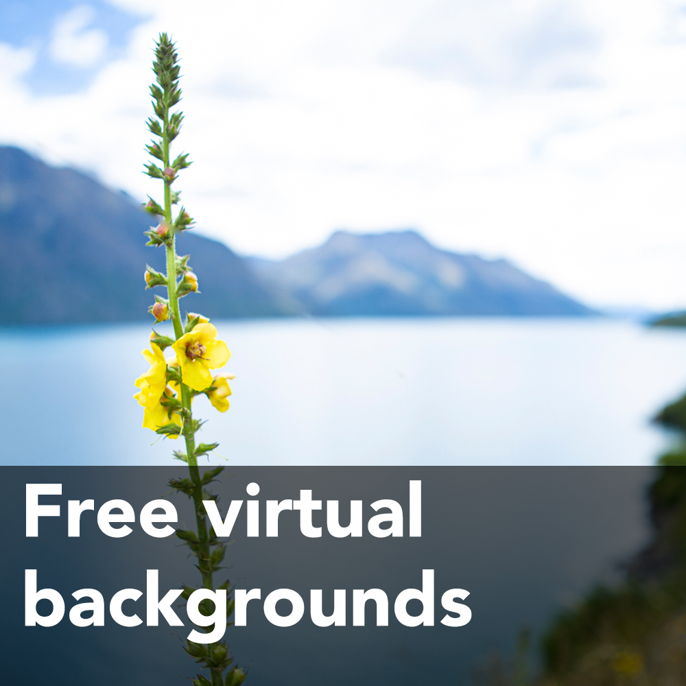 Free virtual backgrounds